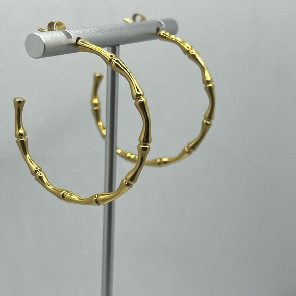 ceeana lifestyle Jewelry - Stainless Steel light  weight bamboo earrings